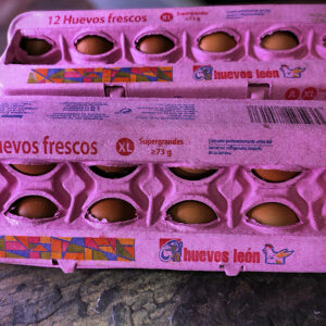 Huevos Frescos